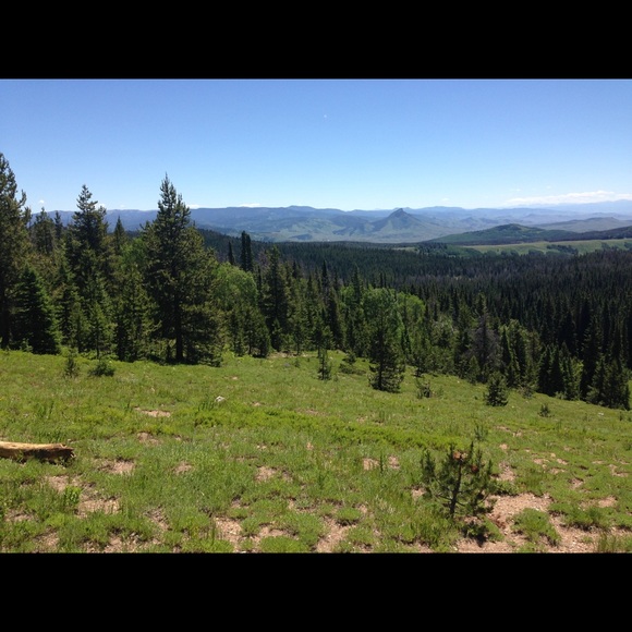 Meet your Posher, Laurie - Picture 6 of 7